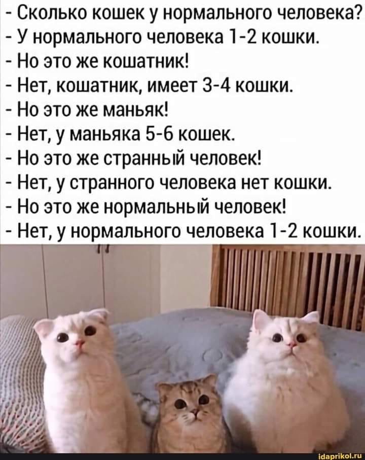 204941193_4141565069268297_5831344035632607740_n.jpg