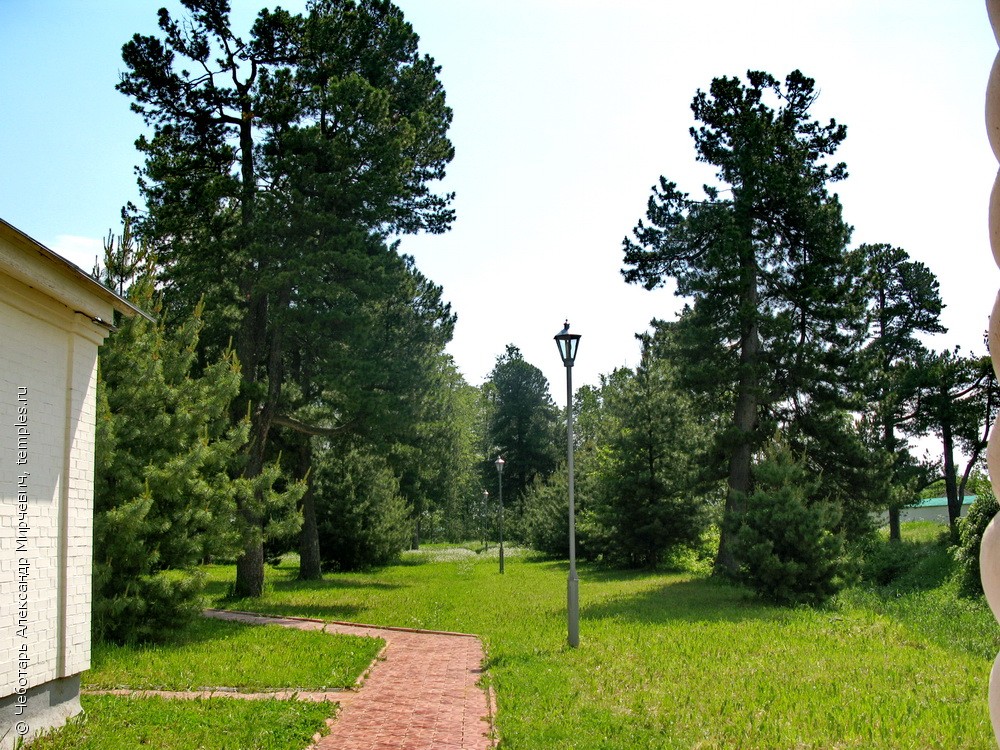 204_0143214b.jpg