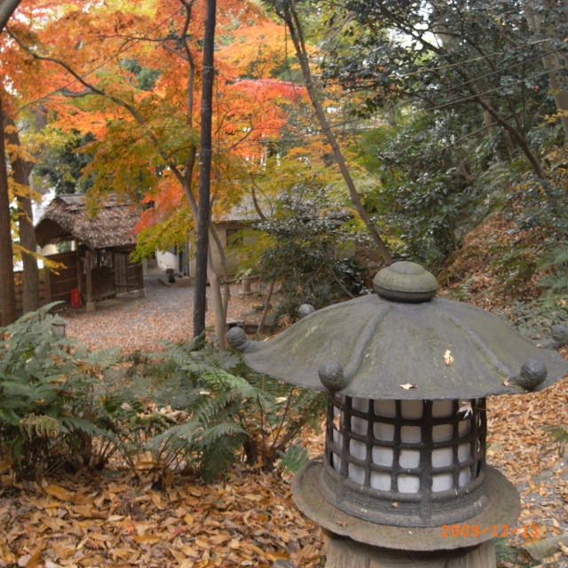 211-640x640.jpg