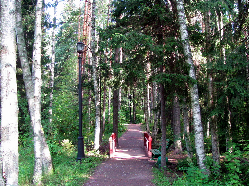 216.Аллея Пушкина.jpg