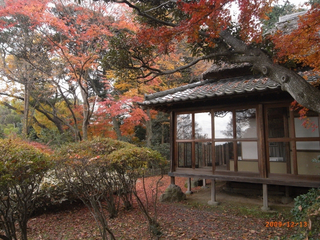 226-640x480.jpg