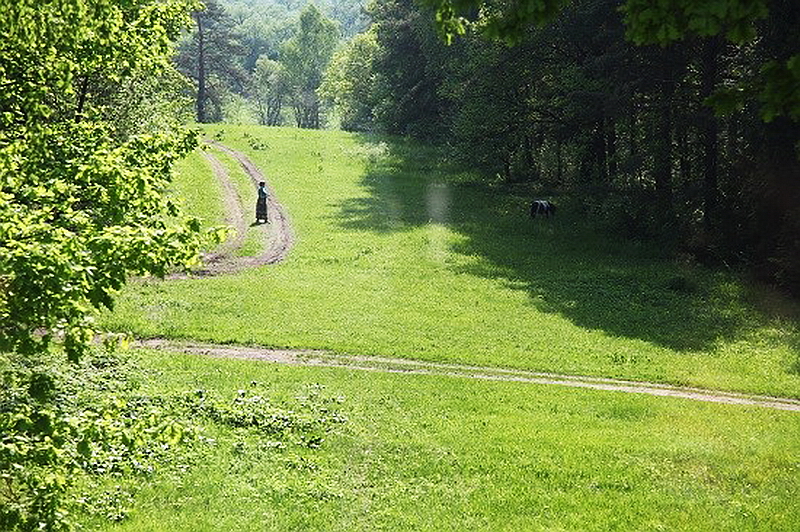 230.Вид из мастерской на втором этже.jpg