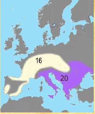 232-b23bddc686.jpg
