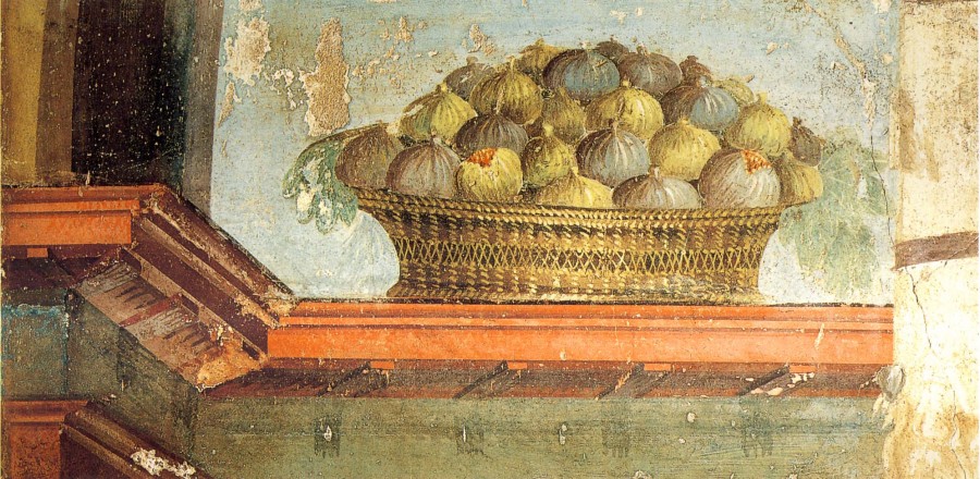 2369077_900.jpg