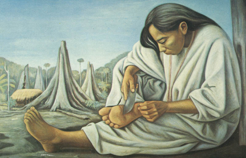 258655a.jpg