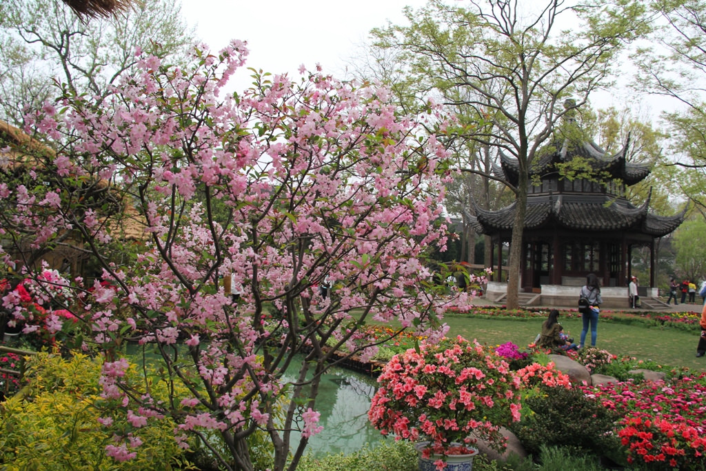 26521021700_0bbcc04f65_b.jpg