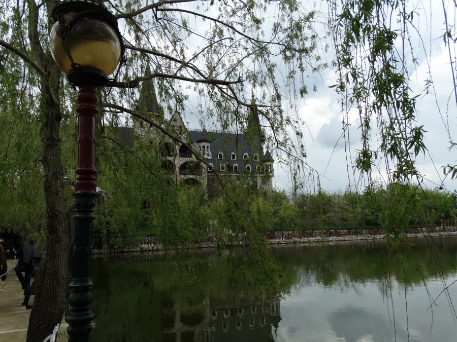 271592_900.jpg