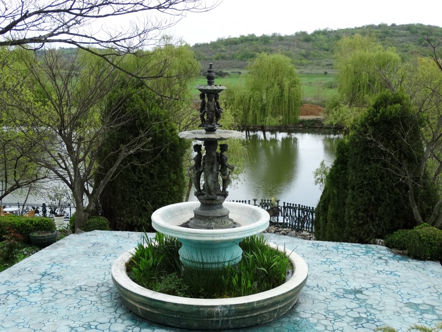 272192_900.jpg