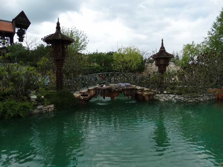 273520_900.jpg