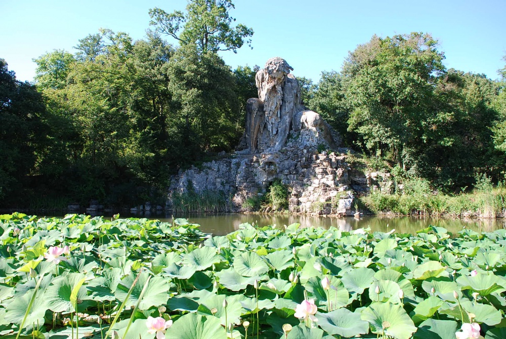 2759710-R3L8T8D-1000-parco-pratolino1.jpg