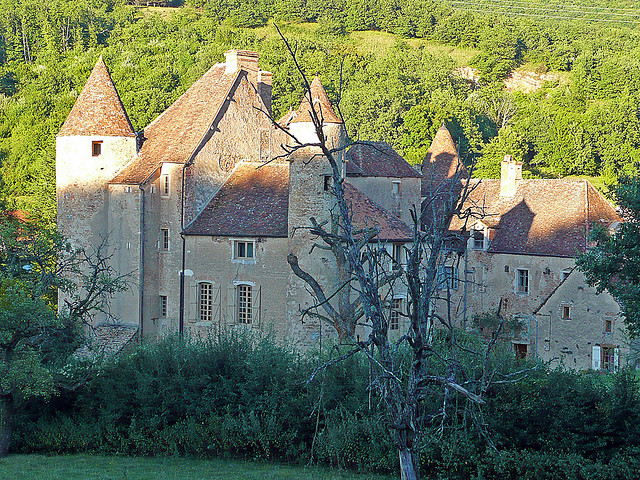 2796960223_d096480db9_zChâteau de Balleure.jpg
