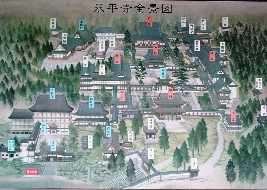 2815158447_8cb188ec20_b.jpg