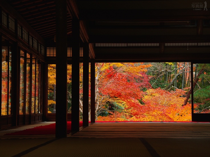2de04827fb479696bfe6c445c29da2a5--autumn-garden-japan.jpg