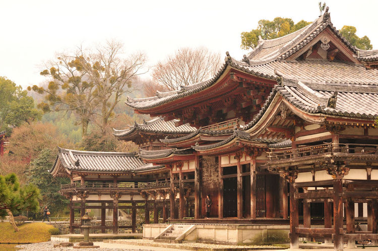 3278278672_750_byodo-in-temple-_16.jpg