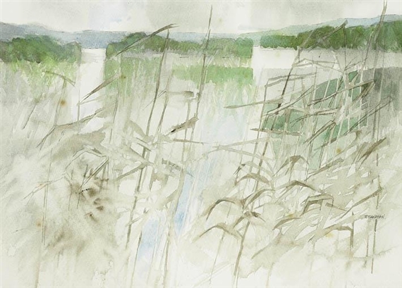 3ec05c91-caa5-45f9-8e59-2cda66402c32_570.Jpeg