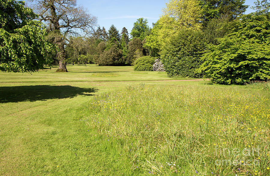 4-bowood-house-and-gardens-ian-murray.jpg