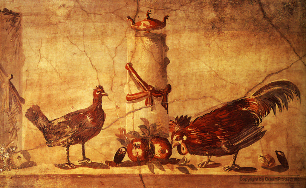 400272_0_0.jpg