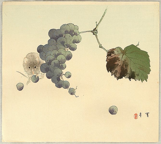 40802a.jpg