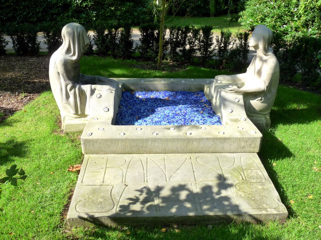 41264045.jpg
