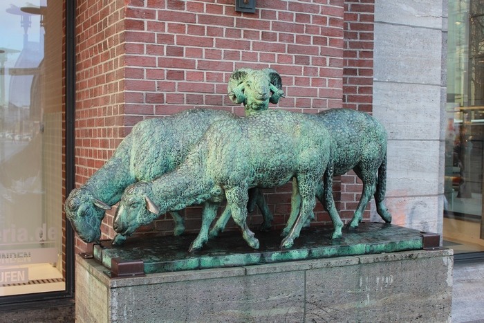 419123_900.jpg