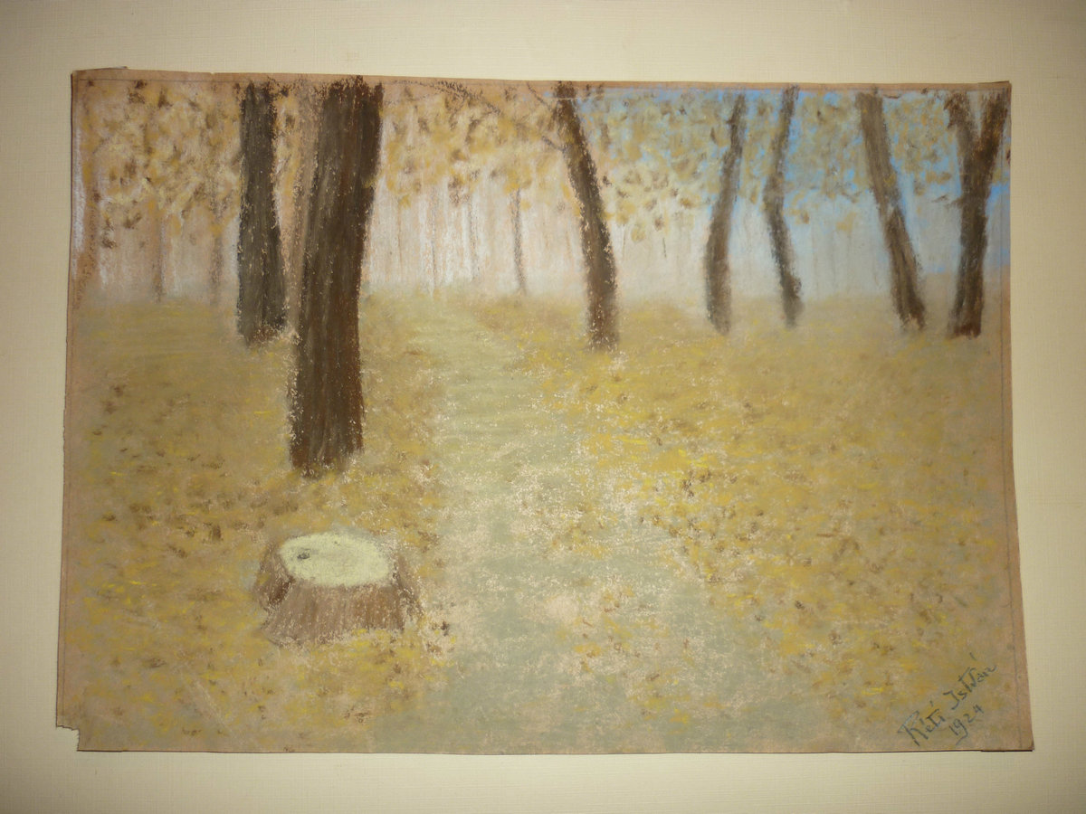 4f9d5eee80748-fatorzsek-reti-istvan1924.jpg
