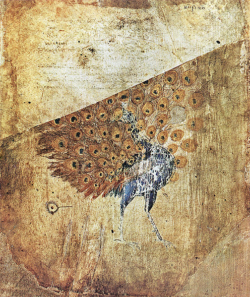 504px-ViennaDioscoridesEndpaperPeacock.jpg