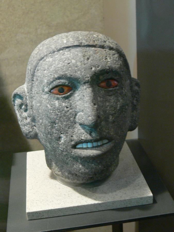 54229.jpg