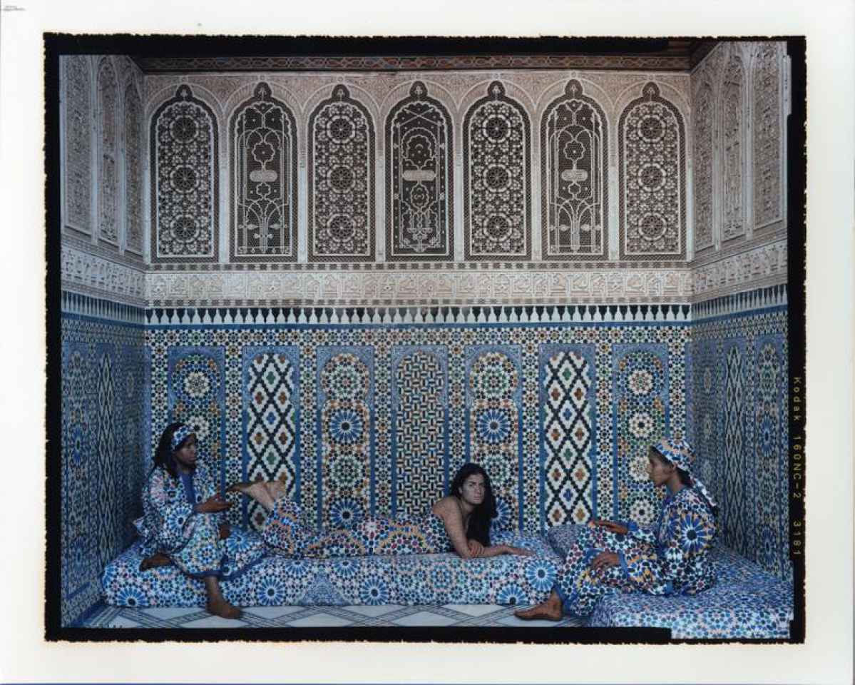 54bf71d1af699harem156.jpg