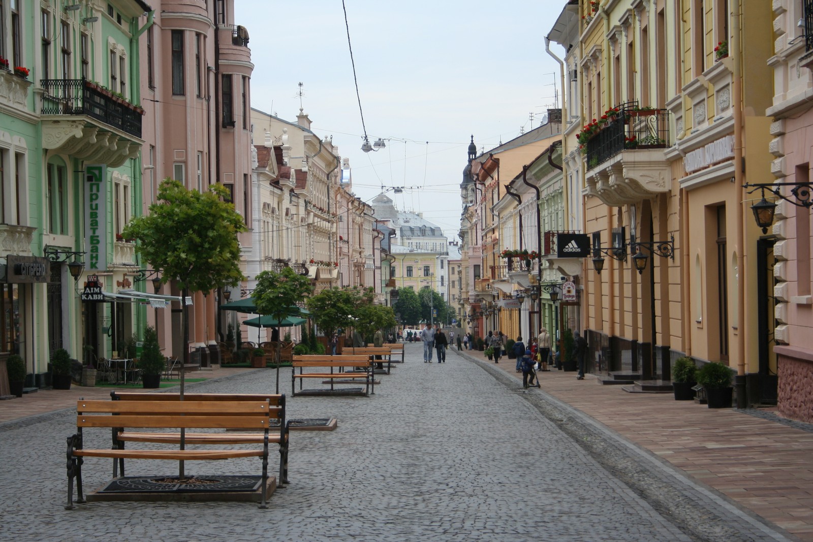 5557.JPG