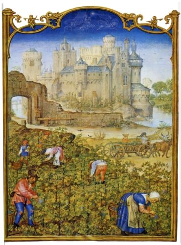 559bdfde32ce260e6c3255656a54c6f5.jpg