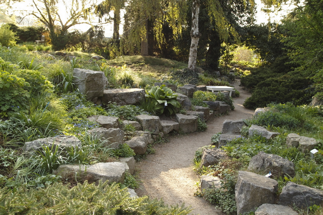 5990_BB_Potsdam_Wohnhaus_und_Garten_Karl_Foerster_Hans_Bach_шDSD_034.jpg