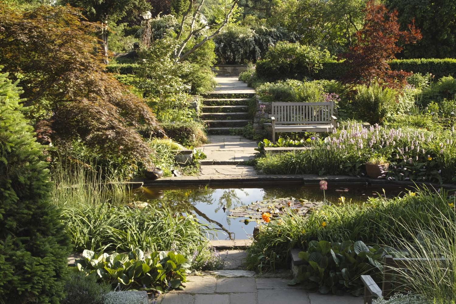 5990_BB_Potsdam_Wohnhaus_und_Garten_Karl_Foerster_Hans_Bach_DSD_030.jpg