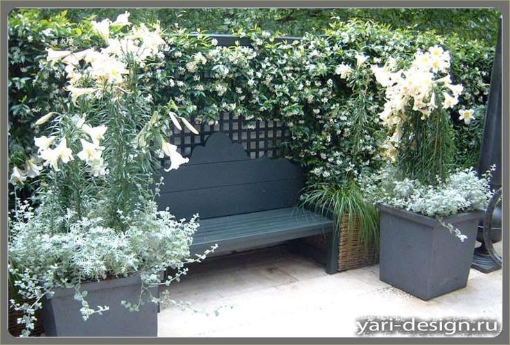 6199ffcd598ea4cc706b11458601908e--landscape-design.jpg