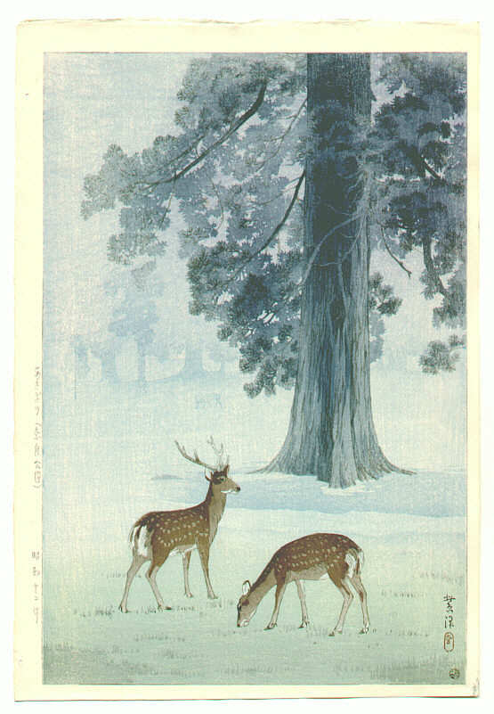 6587g1.jpg