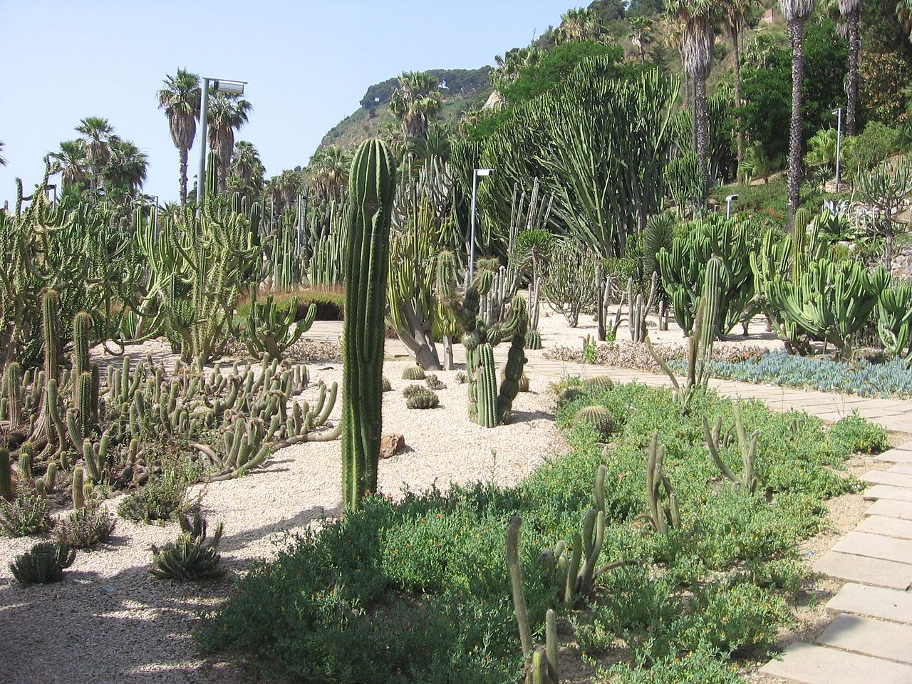 70-Jardins_Mossèn_Costa_i_Llobera,_vista_general.jpg