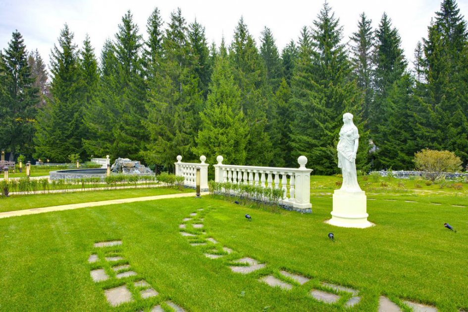 754927805231392.jpg