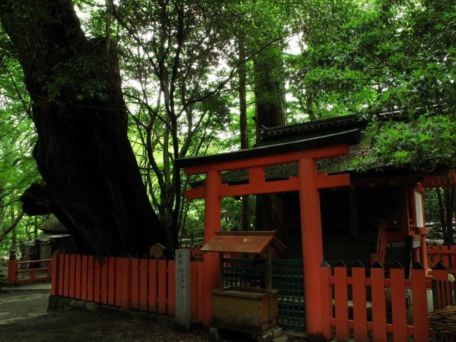 7990b83b21c9.jpg