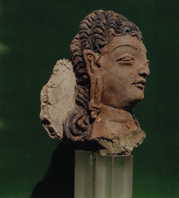7dTS_1259.jpg