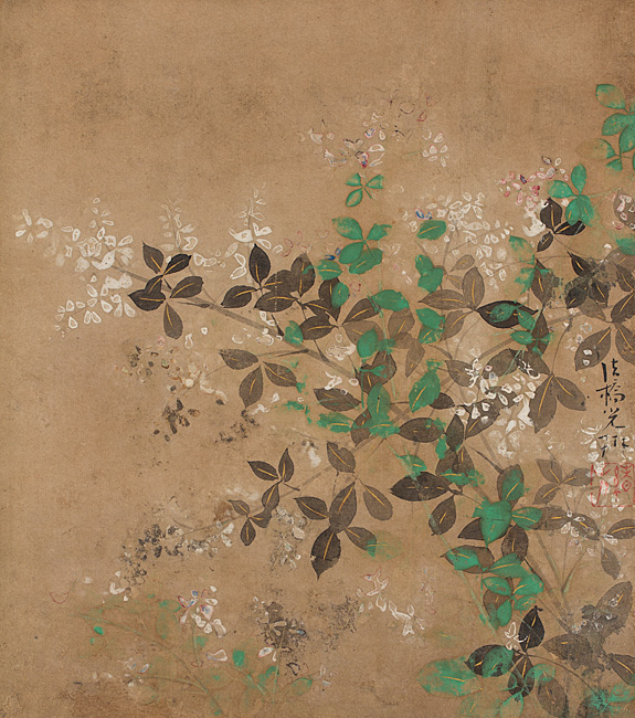 8._Autumn_flower.jpg