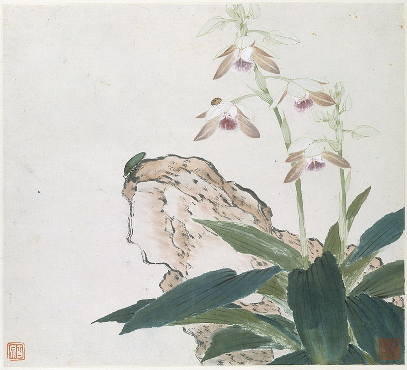 800px-清_居廉_花卉蟲草_冊頁_八開-Insects_and_Flowers_MET_DT8388.jpg
