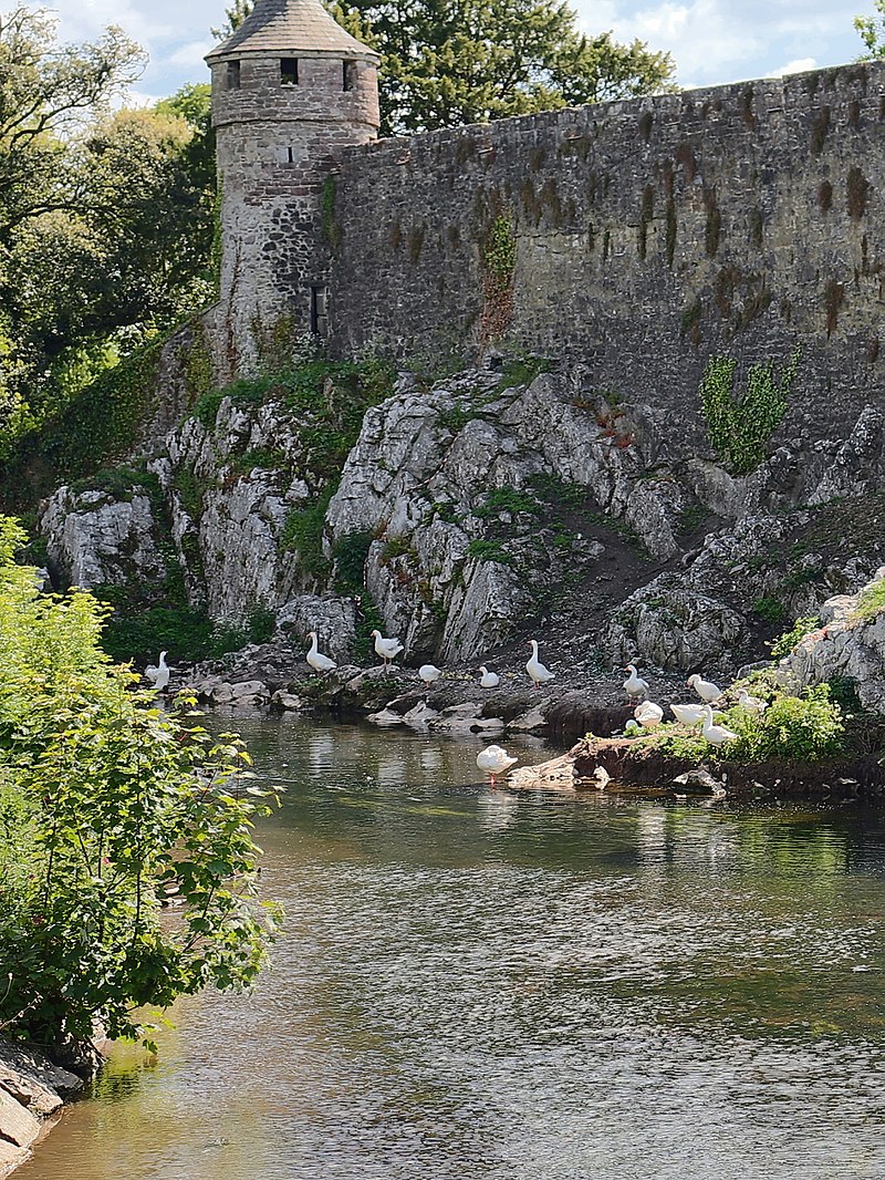 800px-Cahir_Castle,_Castle_St,_Cahir_(506767)_(27969802303).jpg