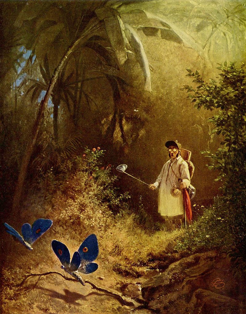 800px-Carl_Spitzweg_033.jpg