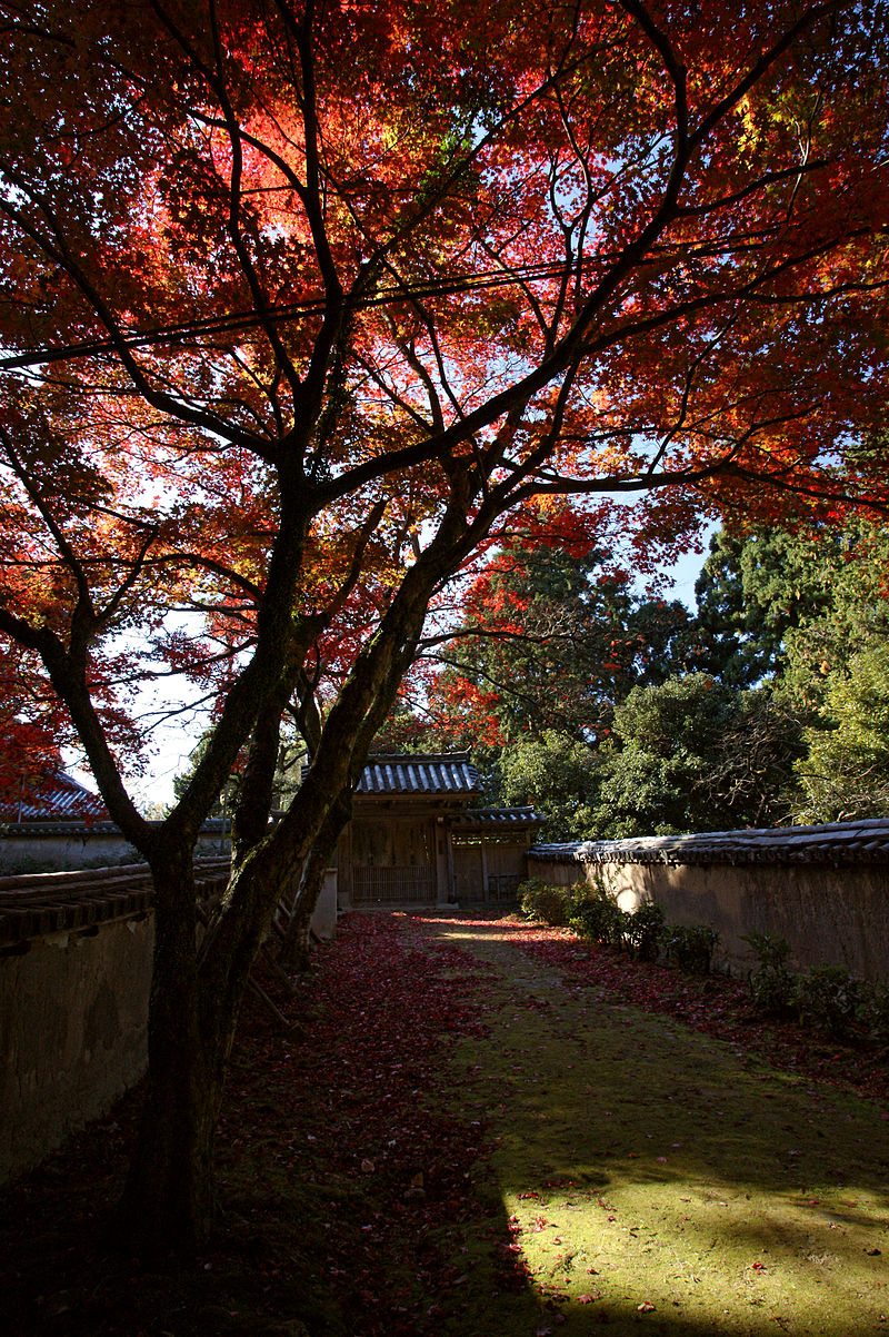 800px-Engyoji43s4592.jpg