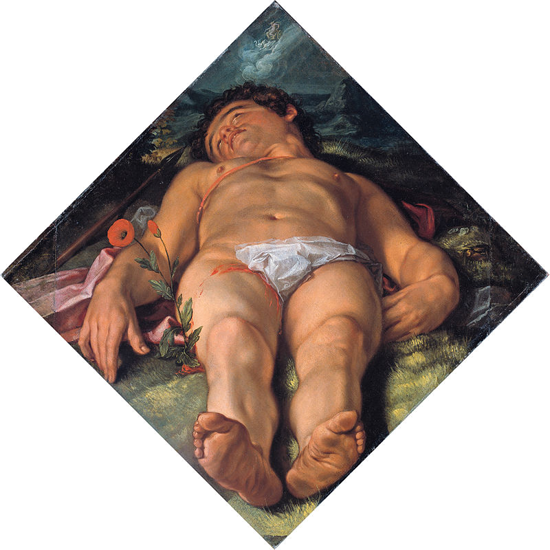 800px-Hendrik_Goltzius_-_Stervende_Adonis.jpg