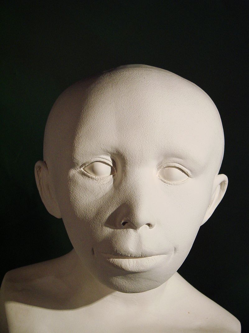 800px-Homo_neanderthalensis_reconstruction2_(University_of_Zurich).JPG