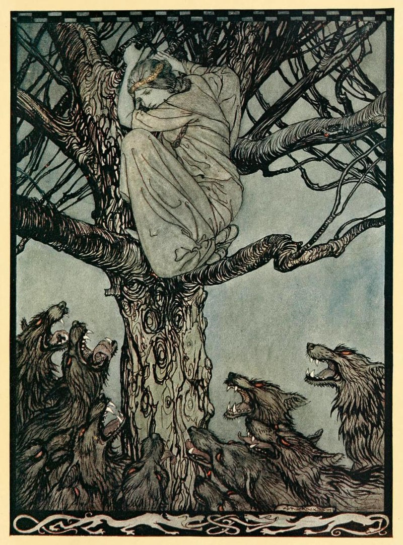 800px-Irishfairytales01step_0193.jpg