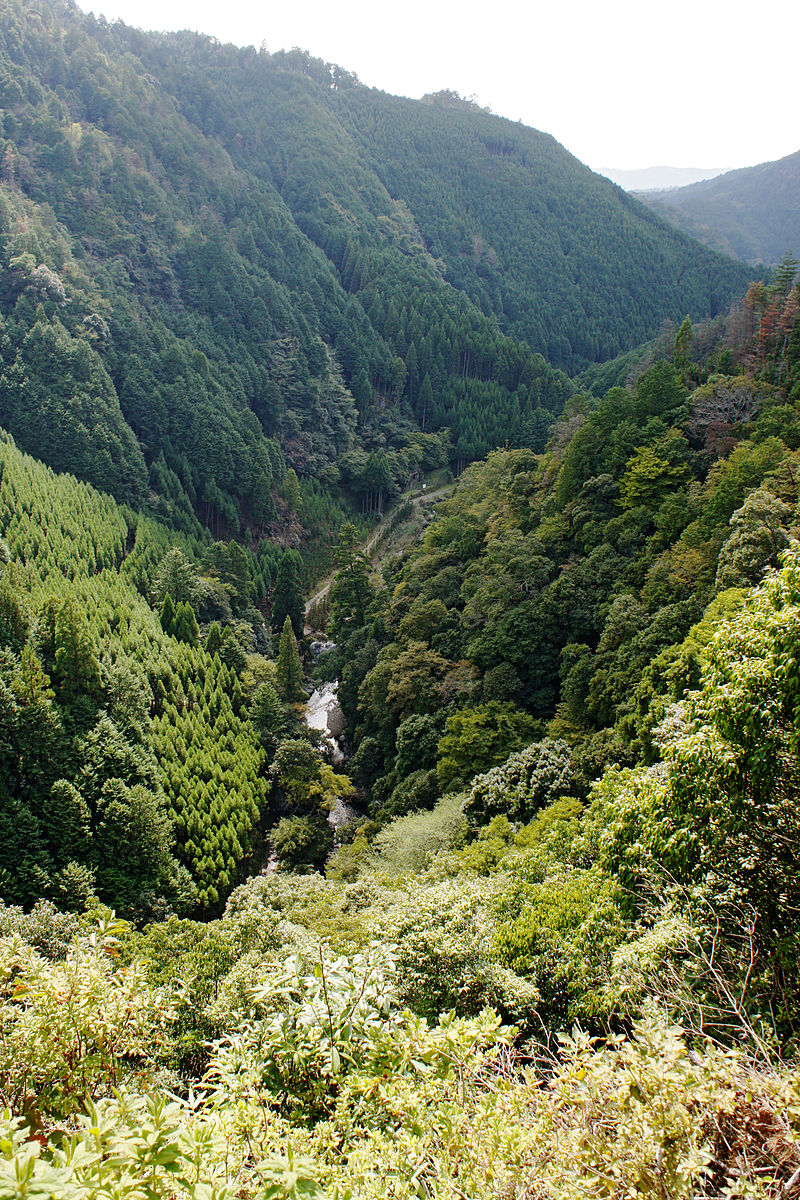 800px-Jingoji_Kyoto_Kyoto34n4350.jpg