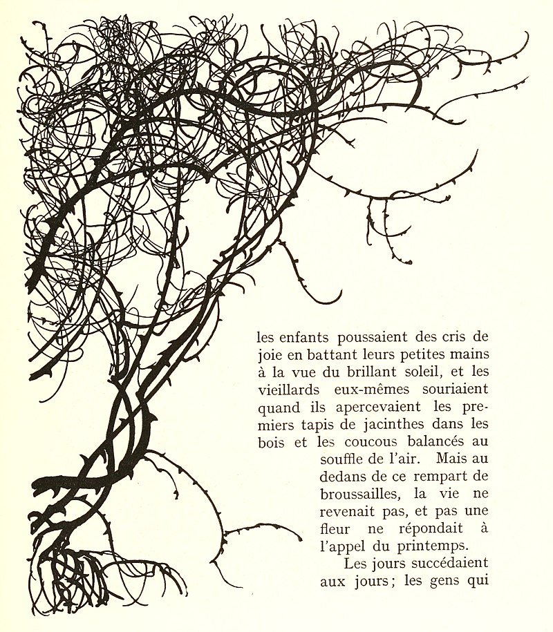 800px-Labelleauboisdor00perr_0079.jpg