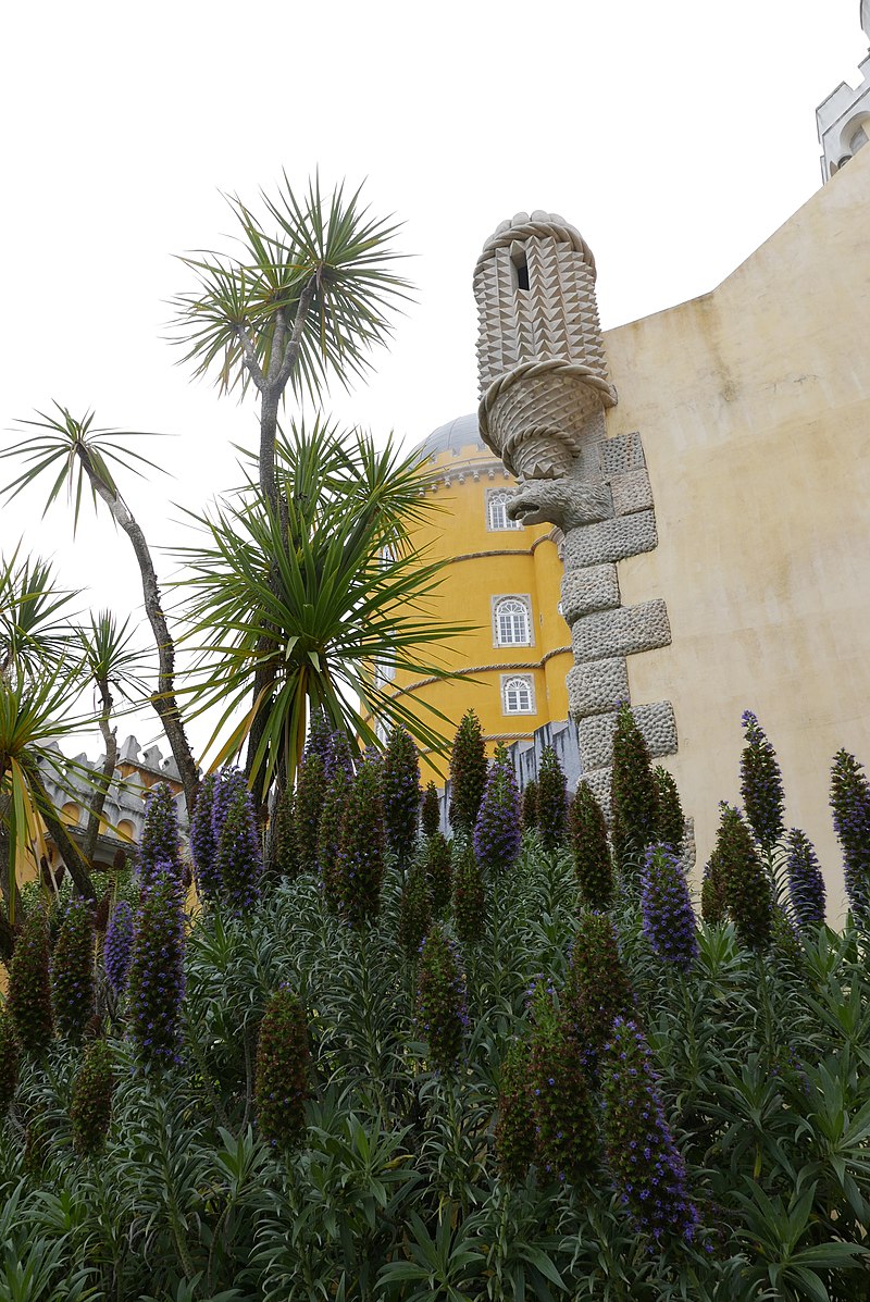 800px-Lisbon,_Portugal_(41287139175).jpg