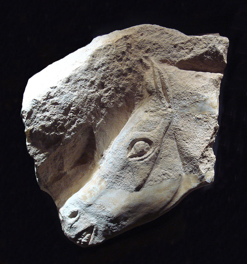 800px-Magdalenian_horse (1).jpg